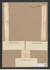 Synedra ulna var. longissima (W. Sm.) Brun. (de-Toni-Nr.: Genus 66, Species 2584) Zeichnungen Sammlung Grunow Nr. 5212 (NHMW-BOT-W0373578)